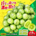 【ふるさと納税】【先行予約】【9月下旬から順次発送】家庭用 シャインマスカット 計1.8kg(約450g×4パック) 粒入り マスカット ぶどう ブドウ 葡萄 ...