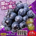 【ふるさと納税】【先行予約】【9月上旬から順次発送】家庭用 BKシードレス 計1.8kg(約450g×4パック) 粒入り ブドウ 種なし ぶどう 特別栽培 葡萄...