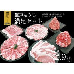 【ふるさと納税】【計2.9kg以上】庄原産豚肉「瀬戸もみじ」満足セット【配送不可地域：離島】【1359533】