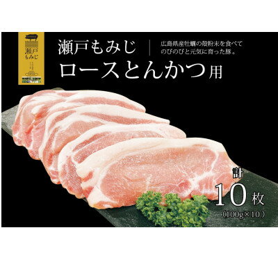 【とんかつ用1kg】庄原産豚肉「瀬戸もみじ」ロース　100g×10枚セット【配送不可地域：離島】【1359554】