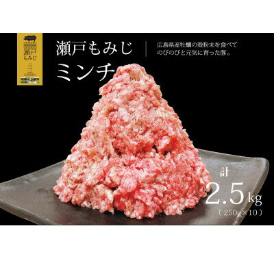 【計2.5kg】庄原産豚肉「瀬戸もみじ」ミンチ(挽肉)小分けセット(250g×10パック)【配送不可地域：離島】【1360848】