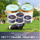 【ふるさと納税】庄原産生乳使用 手造りアイス95ml(4個)・500ml(2個)セット【配送不可地域:離島】【1618792】