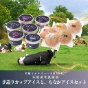 【ふるさと納税】庄原産生乳使用 手造りカップアイスと、もなかアイスセット【配送不可地域:離島】【1618794】
