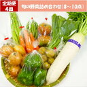 【ふるさと納税】【毎週定期便】道の駅たかのスタッフ厳選!庄原市産「旬」の野菜詰め合わせ(8~10点)全4回【配送不可地域:離島】【4070050】