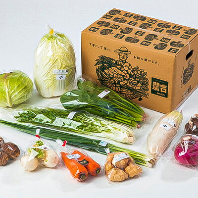 【ふるさと納税】庄原産「旬の野菜」詰め合わせ箱【配送不可地域：離島】【1345756】