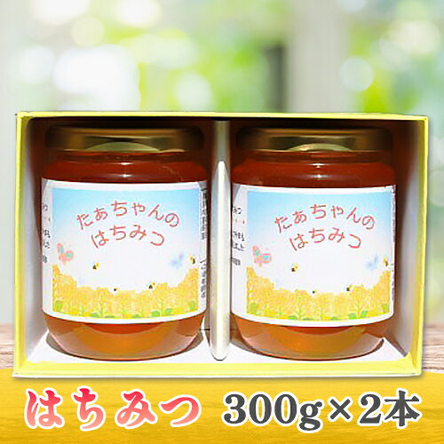 たぁちゃんのはちみつ 300g×2本|ハチミツ 蜂蜜 はち蜜 [1643]