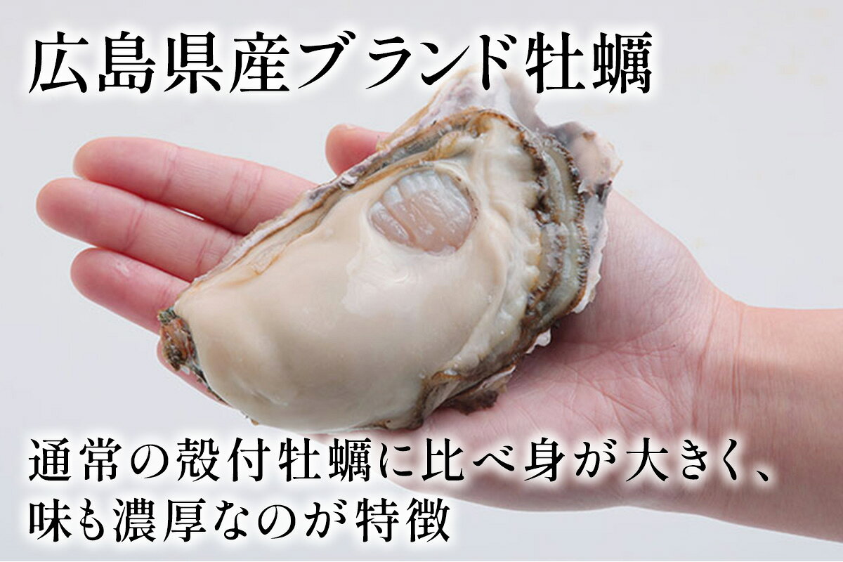 【ふるさと納税】広島県産ブランド牡蠣 かき小町 5個から10個｜かき 貝 シーフード オイスター 海鮮 魚介類 濃厚 海の幸 貝類 おおたけカキ 特大サイズ 広島 大竹市 玖波 宮島 [2625-2631]
