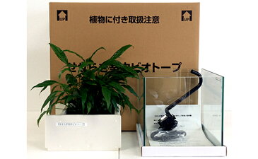 【ふるさと納税】せせらぎ室内ビオトープ　25cm型木製枠台セット　【インテリア・植物・雑貨・日用品】