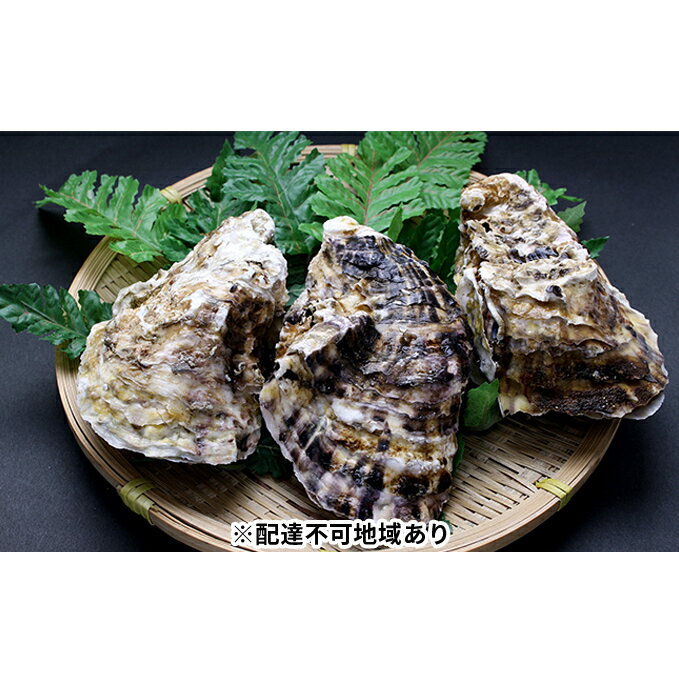【ふるさと納税】矢野水産 フレッシュギフト 海からそのまま殻付き牡蠣13個〜15個【配送不可:北海道・沖縄・離島】 【魚貝類・生牡蠣・かき・魚介類・カキ・牡蠣・魚介類】 お届け:2021年1月上旬〜2021年4月上旬