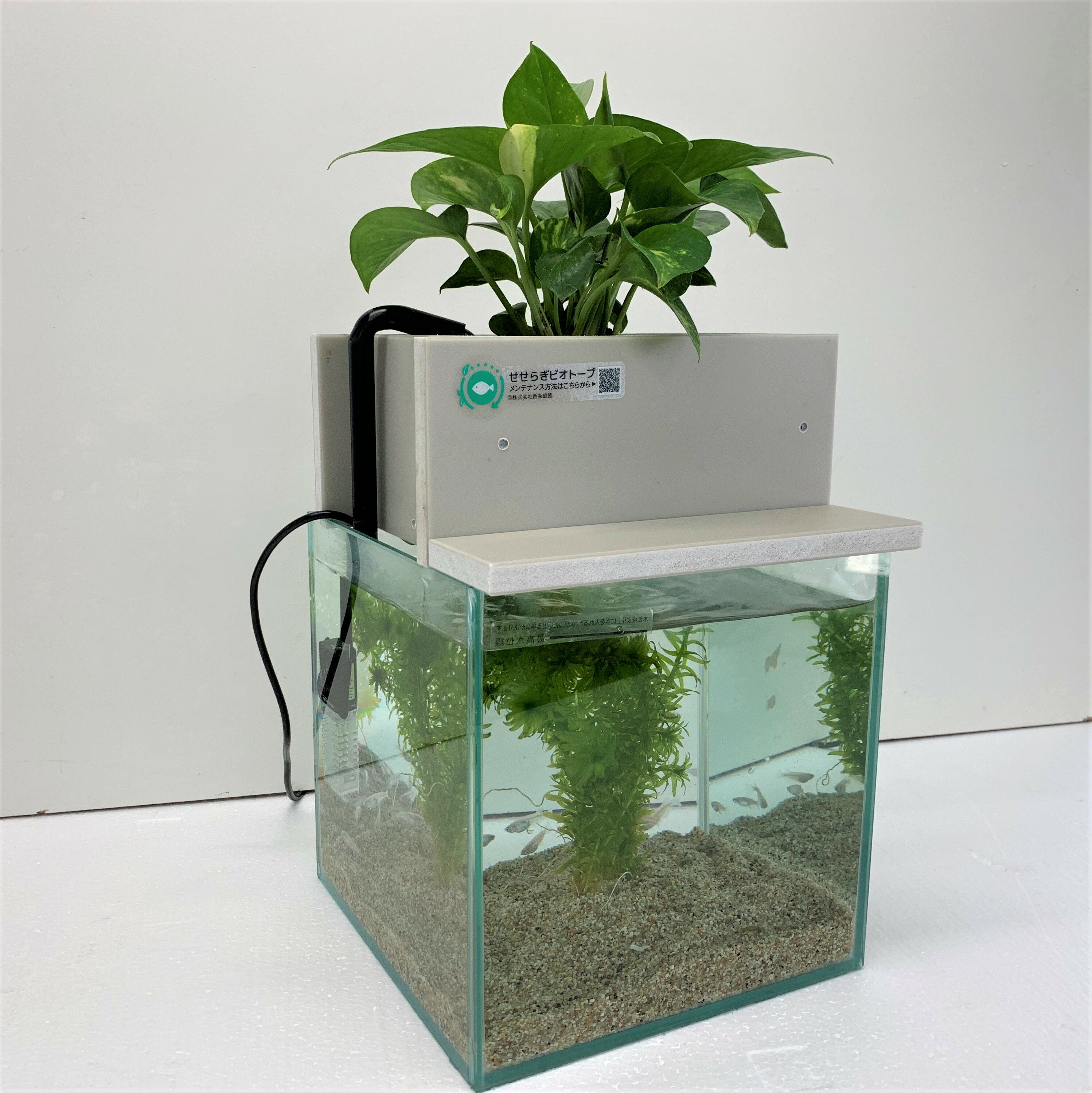 部屋を癒しの空間に 水替え不要 ギフト 循環型水槽セット cm型基本セット せせらぎ室内ビオトープ cm 部屋を癒しの空間に 水替え不要 ギフト 循環型水槽セット cm型基本セット せせらぎ室内ビオトープ cm