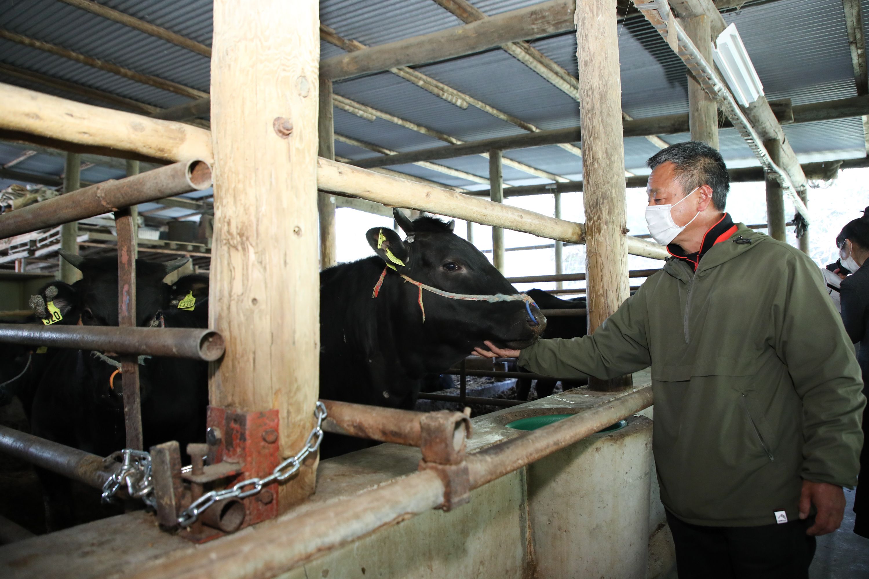 広島県東広島市の画像3