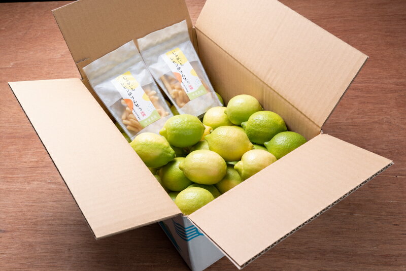 【ふるさと納税】ワックス・防腐剤不使用の皮ごと使えるレモン4kgとかりんとう2袋セット【配送時期:9月上旬〜3月下旬】