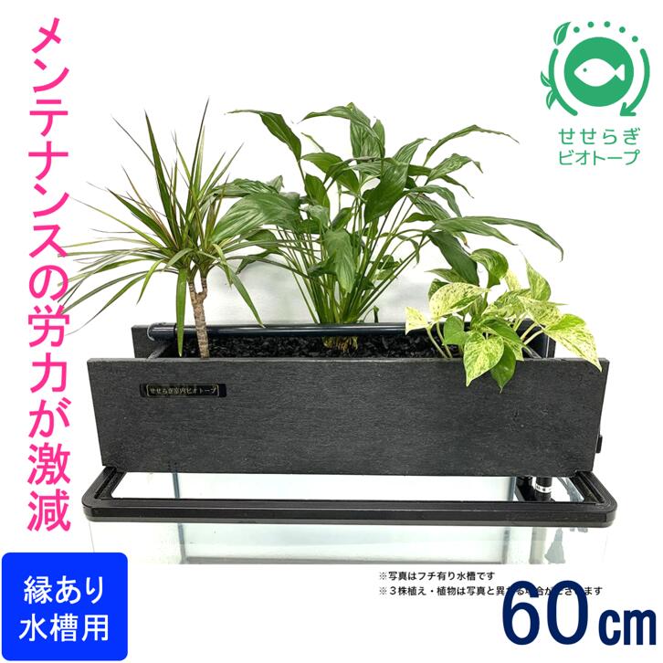 【ふるさと納税】せせらぎビオトープ　60cm 縁あり水槽用　