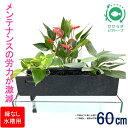 【ふるさと納税】せせらぎビオトープ 60cm型ろ過装置・縁なし水槽用(※水槽はついていません)
