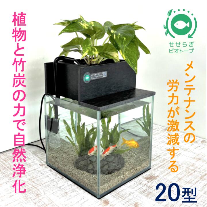 15位! 口コミ数「2件」評価「4.5」水槽セット　ろ過　水替え不要　植物　20cm型基本セット黒色