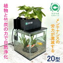 7位! 口コミ数「2件」評価「4.5」水槽セット　ろ過　水替え不要　植物　20cm型基本セット黒色