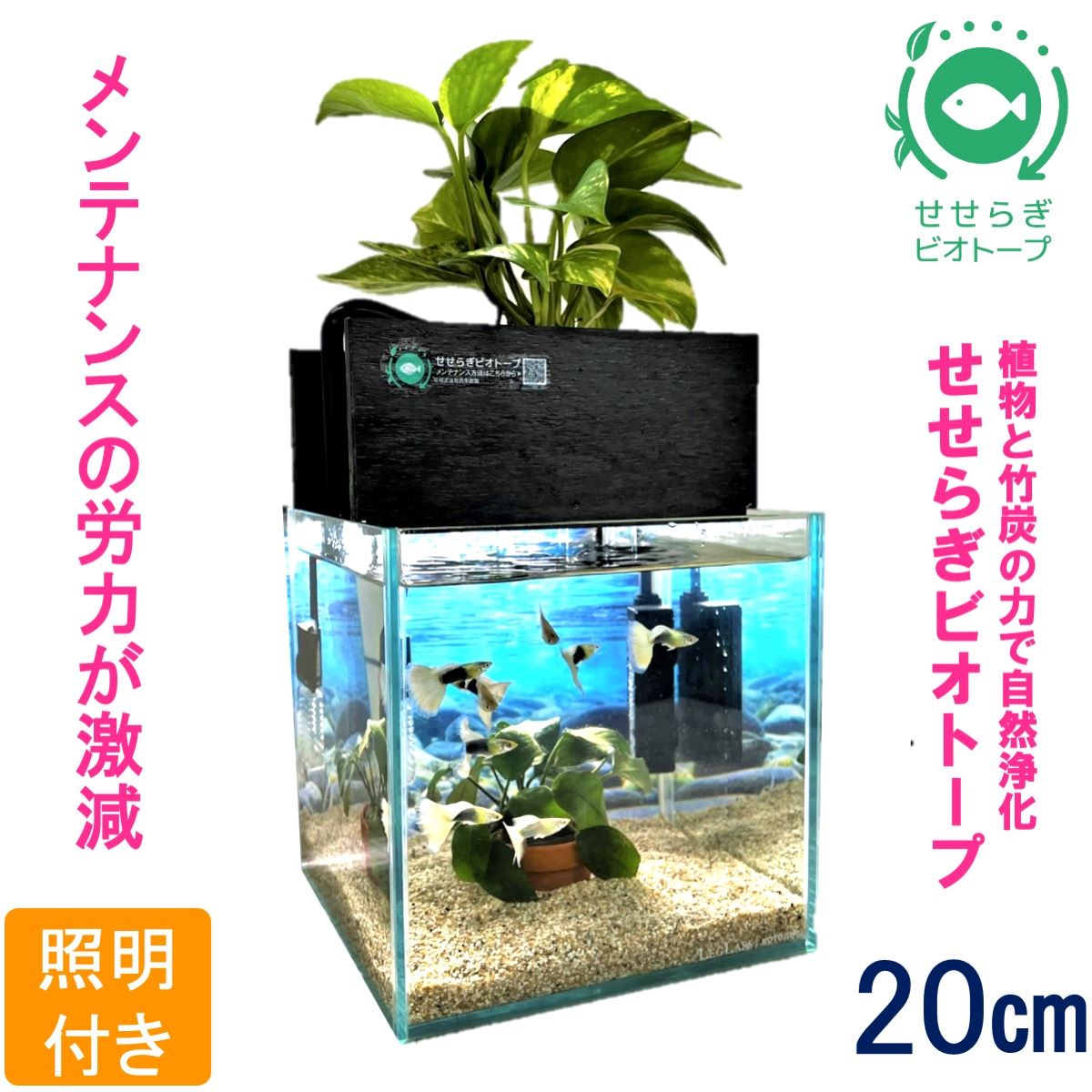 水槽セット せせらぎビオトープ 20cm型照明 植物 魚 (黒・グレー)