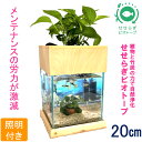 【ふるさと納税】せせらぎビオトープ 20cm型基本照明+木枠台セット
