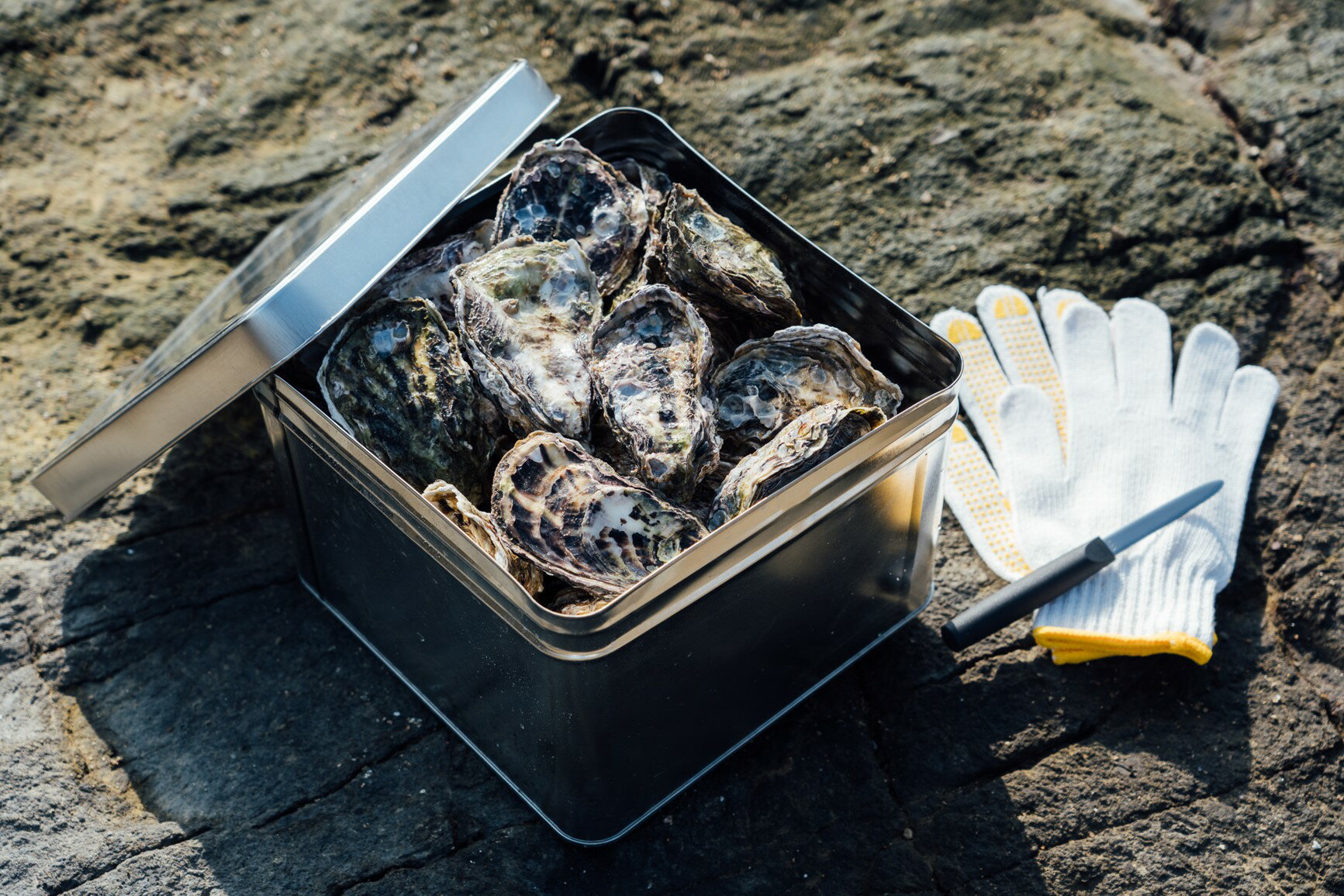 [予約商品]牡蠣 広島 カンカン焼き(15個入) 矢野水産[配送不可:離島][配送時期:2025年1月上旬〜2025年4月上旬]