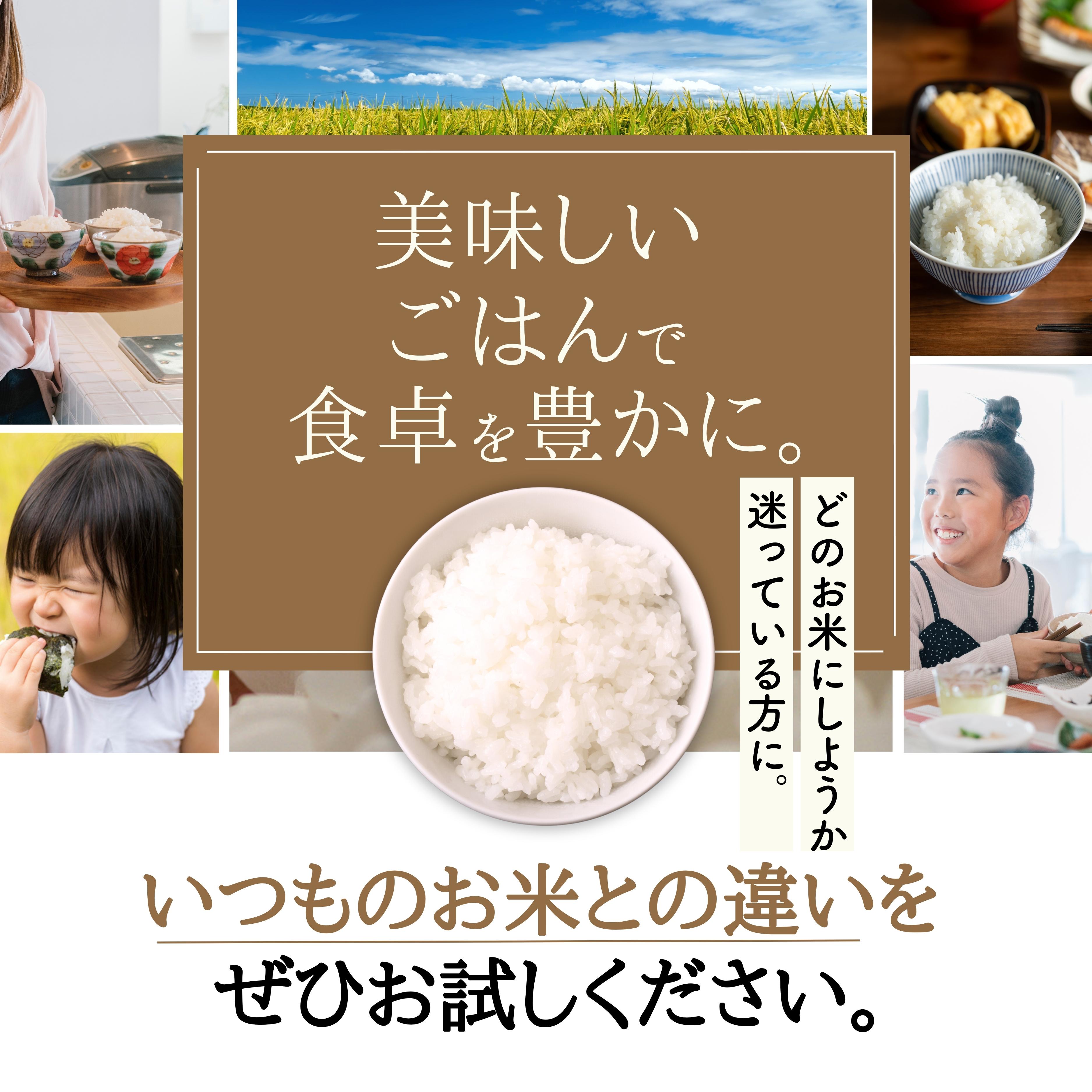 【ふるさと納税】 【定期便】 【令和5年産】 広島県産 お米マイスター厳選米 【出荷直前精米】 15kg(5kg×3回）