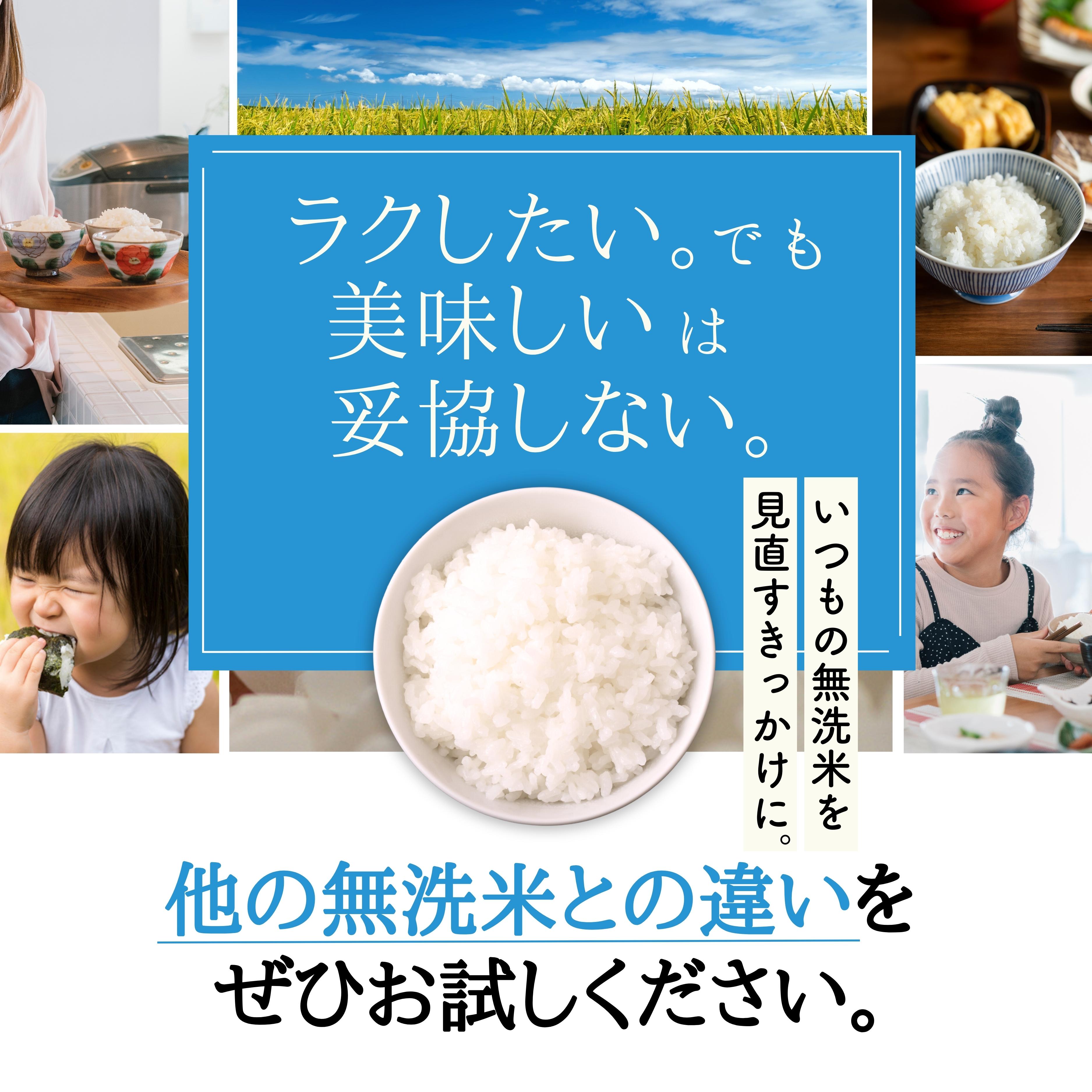 【ふるさと納税】 【定期便】 5kg 【6ヵ月連続お届け】 計30kg 広島県産 無洗米 ラクしても美味しさそのまま お米マイスター厳選