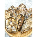 【ふるさと納税】広島県産 宮島牡蠣 2.5kg(500g×5袋) | 広島かき 広島牡蠣 かき 新鮮 旬 おすすめ 人気 広島県 宮島 廿日市市