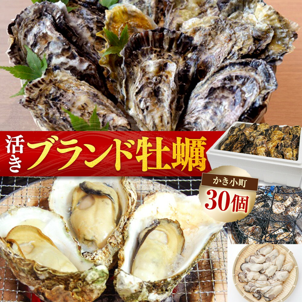 【ふるさと納税】★北海道・沖縄配送不可★(活き)かき小町(ブランド牡蠣) 30個 | 広島かき 広島牡蠣 かき 新鮮 旬 おすすめ 人気 広島県 宮島 廿日市市