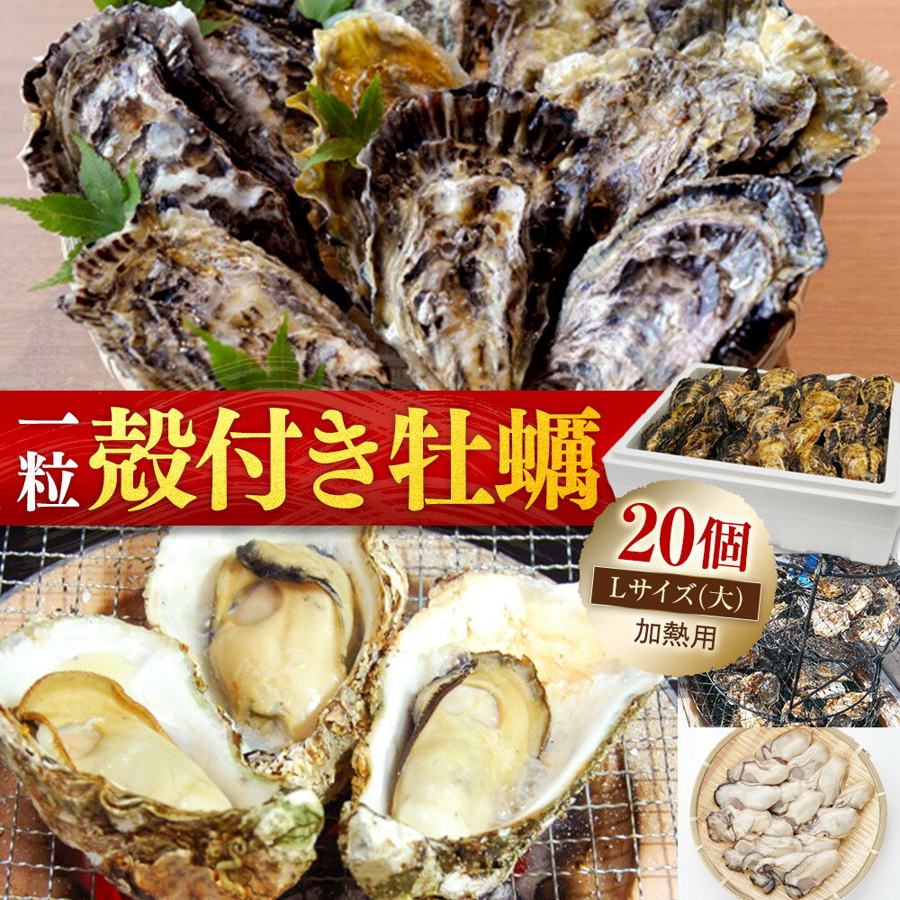 ★北海道・沖縄配送不可★[殻付き牡蠣]Lサイズ(大)20個[加熱用] | 広島かき 広島牡蠣 かき 新鮮 旬 おすすめ 人気 広島県 宮島 廿日市市