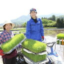 【ふるさと納税】前川農園の精米（ヒノヒカリ）10kg