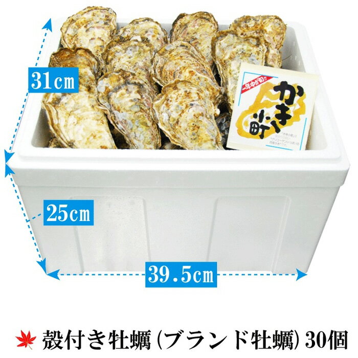 【ふるさと納税】★北海道・沖縄配送不可★【ギフト用】(活き)かき小町(ブランド牡蠣) 30個《加熱用》 | 広島かき 広島牡蠣 かき 新鮮 旬 おすすめ 人気 広島県 宮島 廿日市市