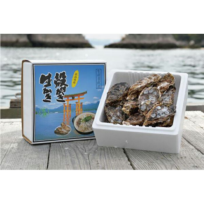 【ふるさと納税】島田水産　Shimada　Oyster　殻付き牡蠣20個(加熱用） | カキ 魚介類 水産 食品 人気 おすすめ 送料無料