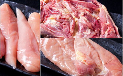 『廣島赤鶏』 むね・もも・ささみ・手羽先・手羽元 計5kg 【肉/鶏肉/焼き鳥/セット・むね肉・もも肉・手羽元・手羽先】