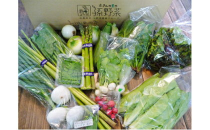 安芸高田市の小さな農家お届けするふるさと旬野菜セット 【野菜類・セット・詰合せ】
