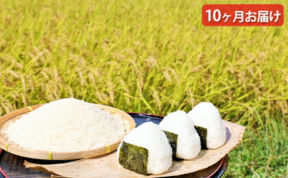 ★平成30年度産★【10ヶ月お届け】安芸高田市産コシヒカリ6kg 【米・精米/コシヒカリ・こめ・こしひかり・定期便】