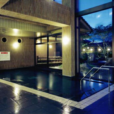 【ふるさと納税】天然ラドン温泉『岩戸屋』入湯ご招待券 11枚 セット イベントやチケット等/入場券 温泉チケット おんせん 入浴