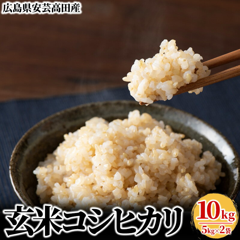 米 令和5年産　安芸高田市産コシヒカリ『玄米』10kg　【お米・コシヒカリ】