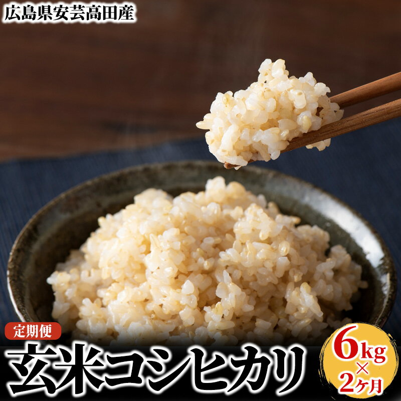 米 令和5年産　安芸高田市産コシヒカリ『玄米』6kg　
