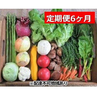 旬の野菜・定期便（6か月）【配達不可：北海道・沖縄・離島】　【定期便・野菜・セット・詰合せ・6ヶ月・6回】