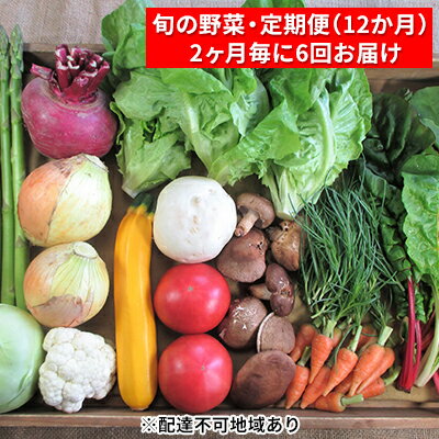 【ふるさと納税】【2ヶ月毎に6回お届け】 旬の野菜・定期便（12か月）　【定期便・ セット 詰め合わせ 季節 季節の野菜 有機質 肥料 農..