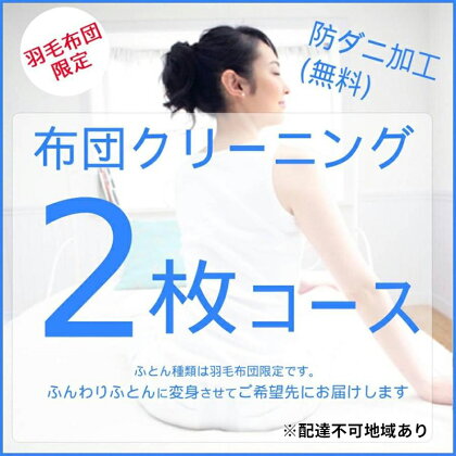 ふとんクリーニング 2枚 （羽毛限定）　【安芸高田市】