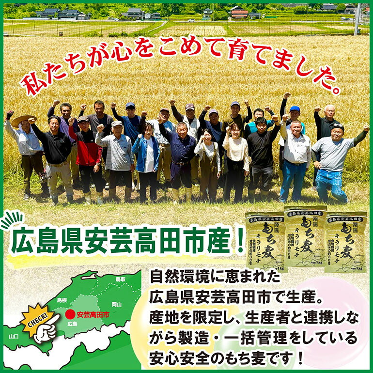 【ふるさと納税】もち麦 国産 キラリモチ 特選もち麦 4.9kgセット 広島県安芸高田産 お米 安心 安全 炊飯 変色 食物繊維 大粒 栄養価 ぷりぷり 大麦