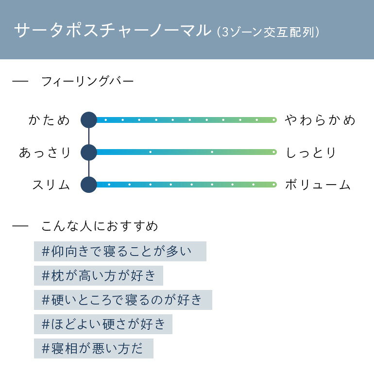 【ふるさと納税】マットレス 寝具 ドリームベッド サータ ポスチャーノーマル セミダブル 【配達不可：北海道・沖縄・離島】 雑貨 日用品