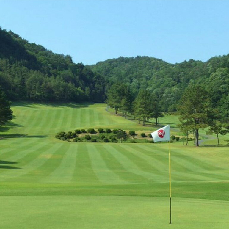 【ふるさと納税】ゴルフ 八千代カントリークラブ 利用券 10,000円分（1,000円×10枚） 広島 安芸高田市