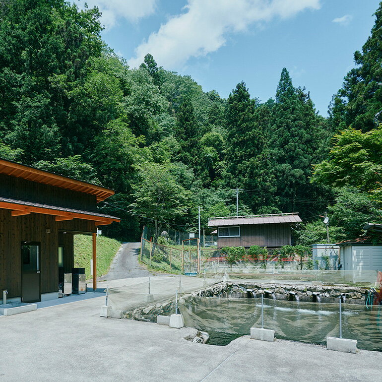 【ふるさと納税】安芸高田 滝ヶ谷 やまめ やわらか炭火焼き （4尾入り） 骨まで 柔...
