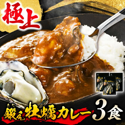 テレビで話題！ 鍛え牡蠣 カレー 190g×3個 牡蠣 カレー レトルト 人気 保存食 簡単 レシピ ギフト 広島県産 江田島市/有限会社寺本水産 [XAE030]