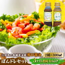 【ふるさと納税】調味料 セット 保存 だし 醤油 しょうゆ 【全3回定期便】一度使うともう戻れない! かけるだけで大満足ののぽんドレセット 300mL×2種 (...