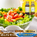 【ふるさと納税】調味料 セット 保存 だし 醤油 しょうゆ 【全6回定期便】一度使うともう戻れない! かけるだけで大満足ののぽんドレセット 300mL×2種 (...