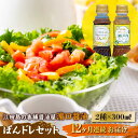 【ふるさと納税】調味料 セット 保存 だし 醤油 しょうゆ 【全12回定期便】一度使うともう戻れない! かけるだけで大満足ののぽんドレセット 300mL×2種 ...