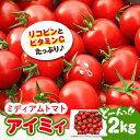 【ふるさと納税】 食の安全 を守りたい 自然を活用した低農薬栽培 ミディアムとまと 2kg 料理 人気 美容 健康 ギフト 広島県産 江田島市/有限会社グリーンファーム沖美 [XAB002]