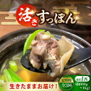 【ふるさと納税】【全3回定期便】【生きたまま届く最高級食材! 安心安全な国産! 江田島育ちのすっぽん 【活き】料理 人気 美容 健康 ギフト 広島県産 江田島市...